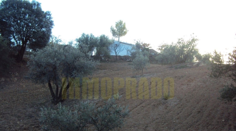 Málaga - Villanueva del Rosario - 6000m2
