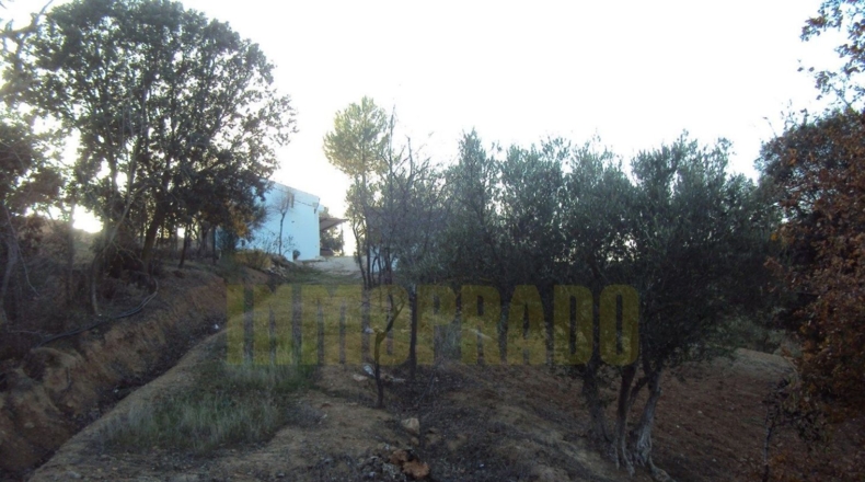 Málaga - Villanueva del Rosario - 6000m2