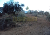 Vil·la amb terreny en venda a Villanueva del Rosario ref.: TR285361 foto