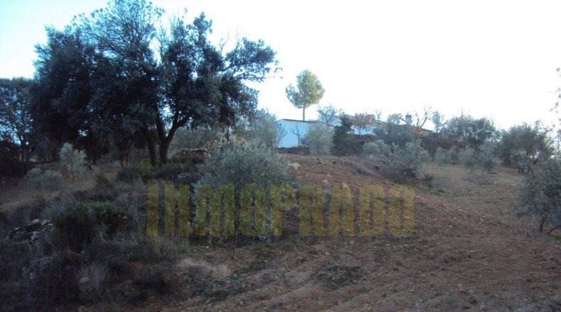 Málaga - Villanueva del Rosario - 6000m2