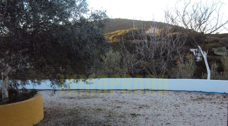 Málaga - Villanueva del Rosario - 6000m2