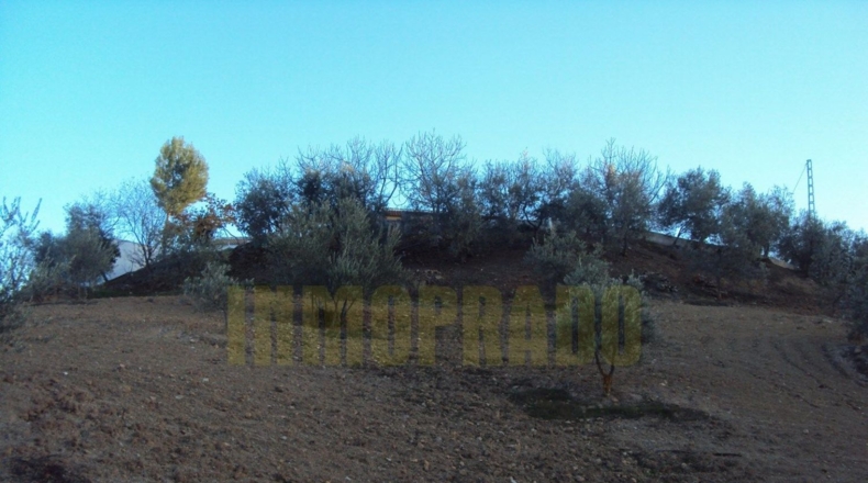 Málaga - Villanueva del Rosario - 6000m2