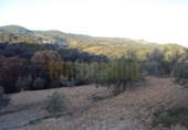 Vil·la amb terreny en venda a Villanueva del Rosario ref.: TR285361 foto