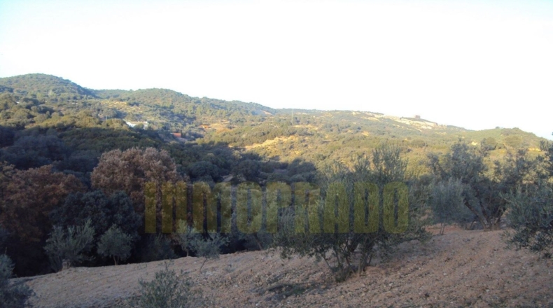 Málaga - Villanueva del Rosario - 6000m2