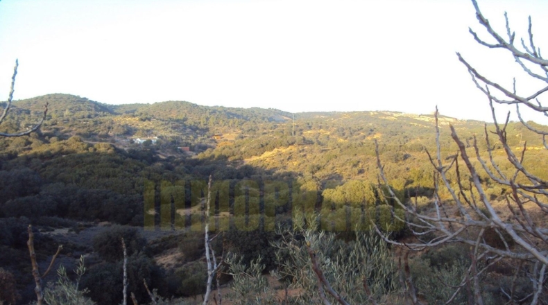 Málaga - Villanueva del Rosario - 6000m2