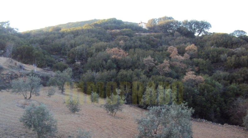 Málaga - Villanueva del Rosario - 6000m2