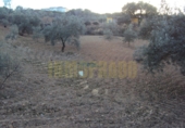 Vil·la amb terreny en venda a Villanueva del Rosario ref.: TR285361 foto