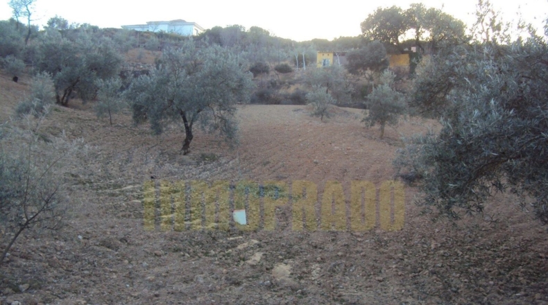 Málaga - Villanueva del Rosario - 6000m2