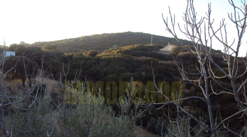 Málaga - Villanueva del Rosario - 6000m2