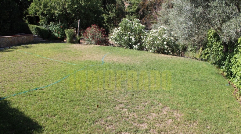 Málaga - Villanueva del Rosario - 2500m2