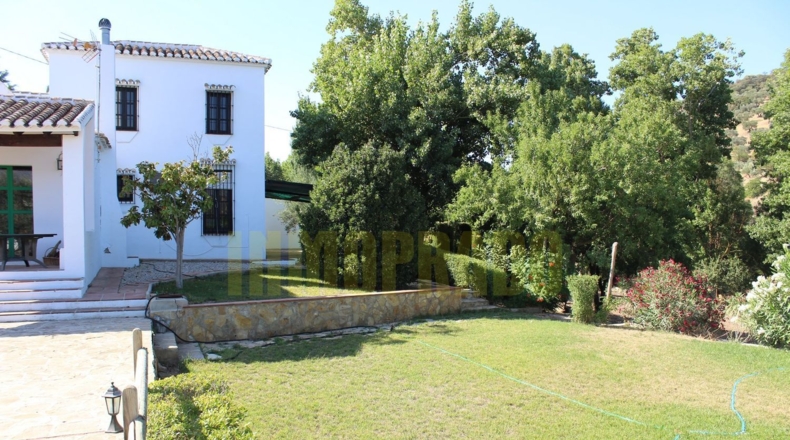 Málaga - Villanueva del Rosario - 2500m2