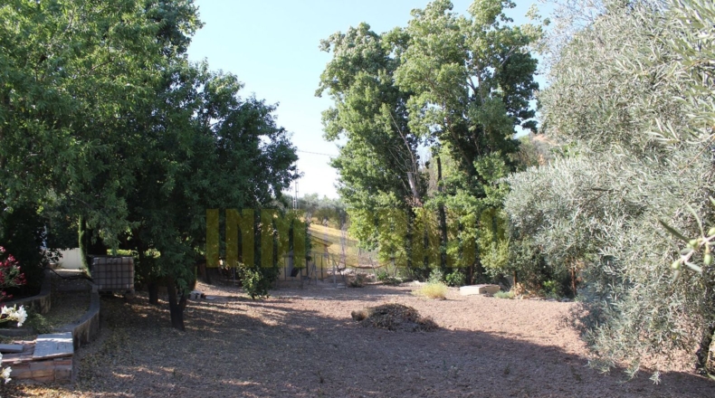 Málaga - Villanueva del Rosario - 2500m2