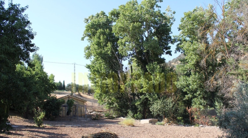 Málaga - Villanueva del Rosario - 2500m2