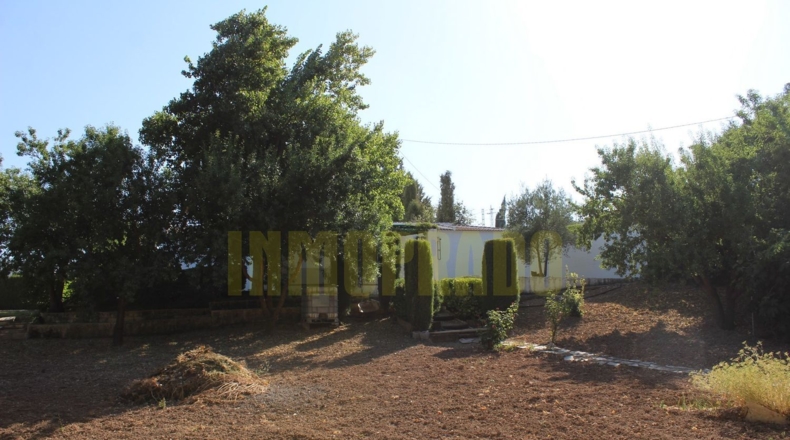 Málaga - Villanueva del Rosario - 2500m2
