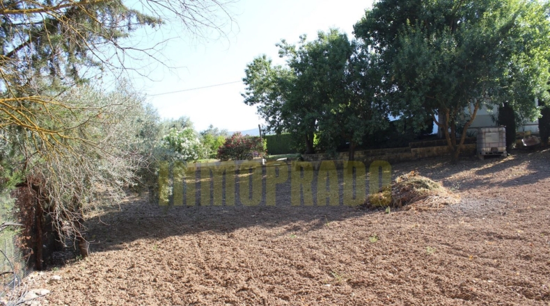 Málaga - Villanueva del Rosario - 2500m2