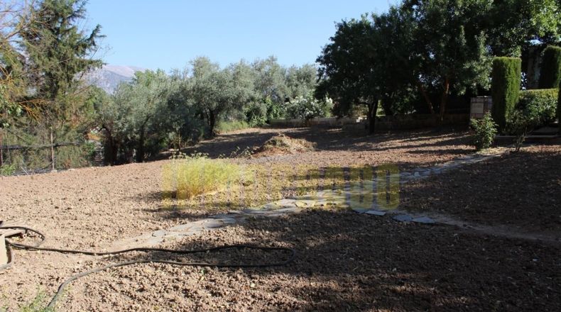 Málaga - Villanueva del Rosario - 2500m2