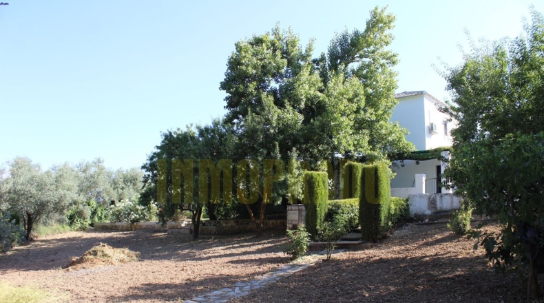 Málaga - Villanueva del Rosario - 2500m2