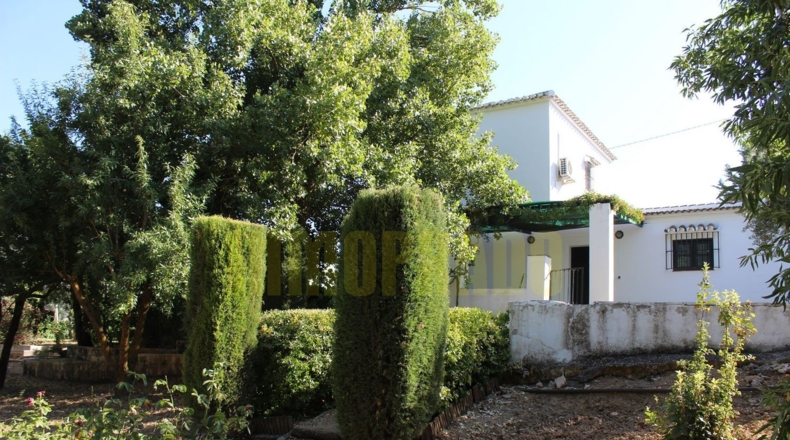 Málaga - Villanueva del Rosario - 2500m2