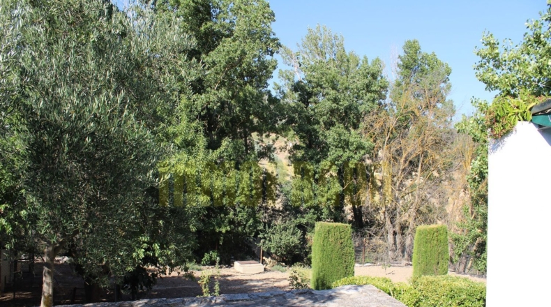 Málaga - Villanueva del Rosario - 2500m2