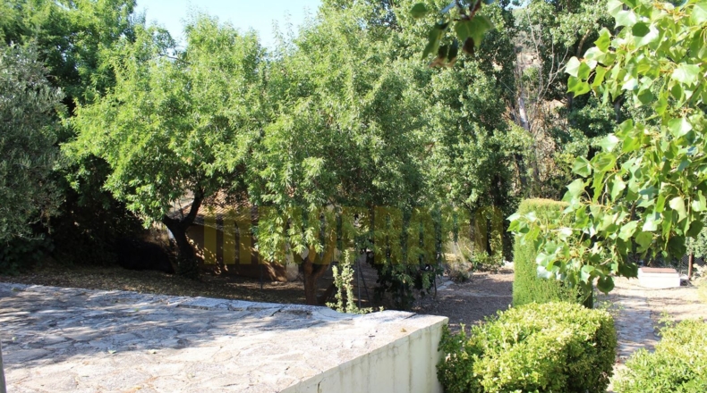 Málaga - Villanueva del Rosario - 2500m2