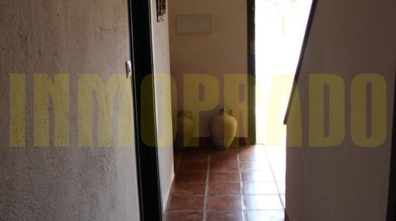 Málaga - Villanueva del Rosario - 2500m2