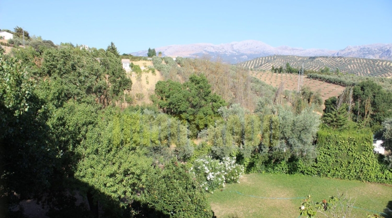 Málaga - Villanueva del Rosario - 2500m2