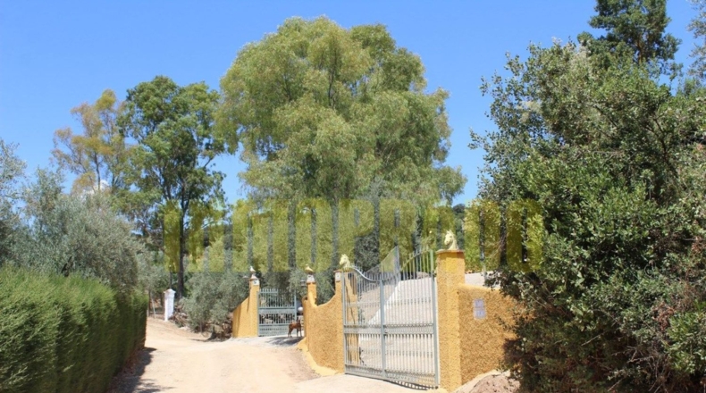 Málaga - Villanueva del Rosario - 4000m2