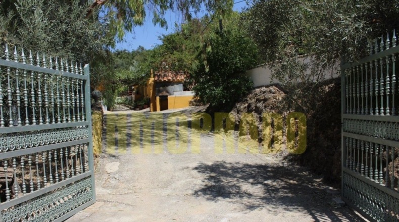 Málaga - Villanueva del Rosario - 4000m2