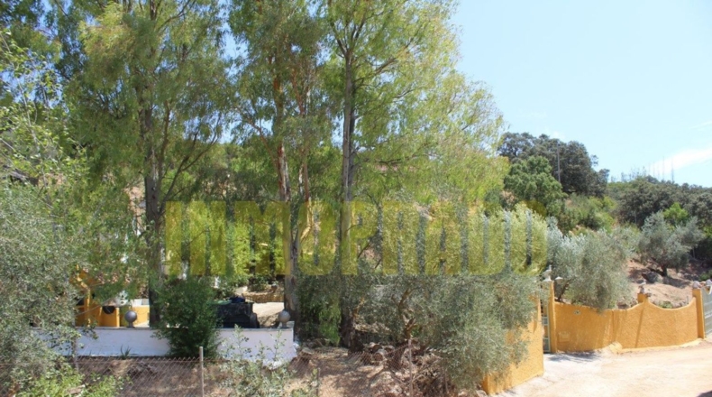 Málaga - Villanueva del Rosario - 4000m2