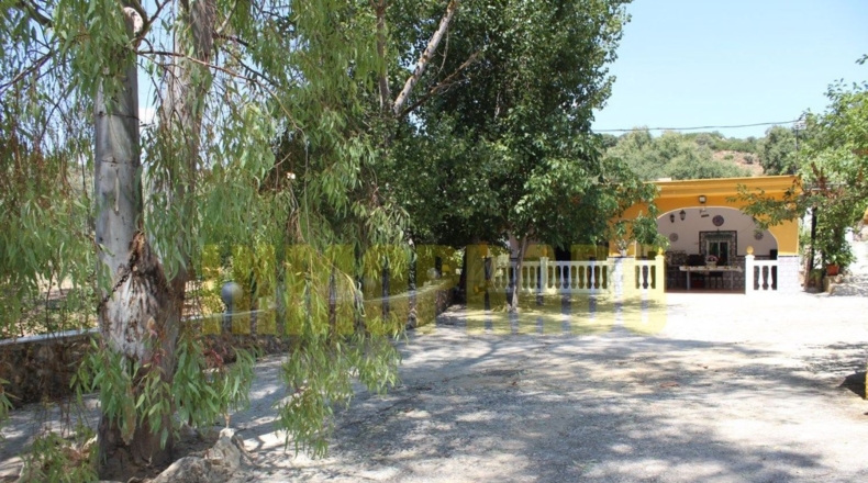 Málaga - Villanueva del Rosario - 4000m2