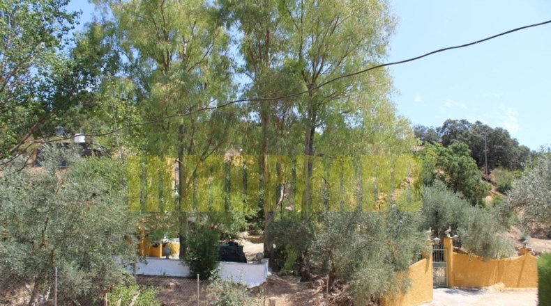 Málaga - Villanueva del Rosario - 4000m2
