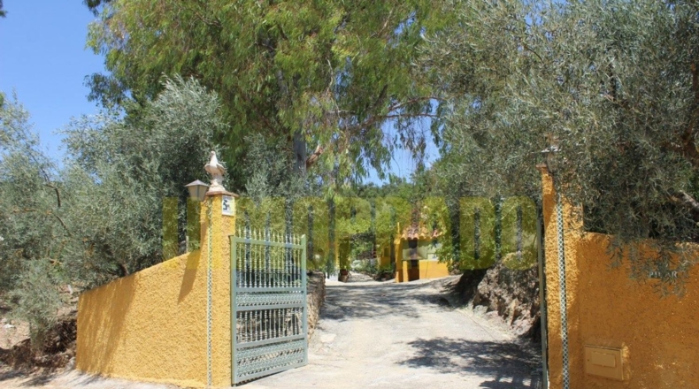 Málaga - Villanueva del Rosario - 4000m2