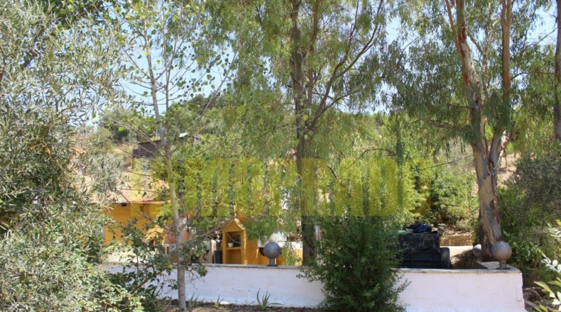 Málaga - Villanueva del Rosario - 4000m2