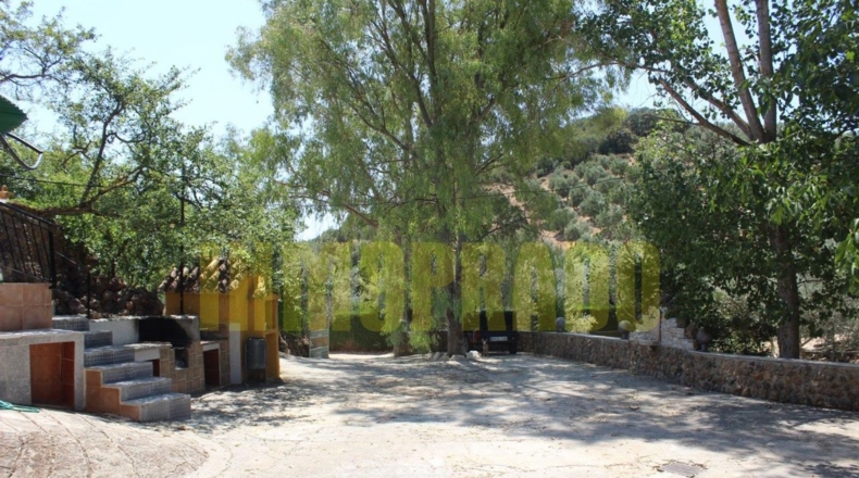 Málaga - Villanueva del Rosario - 4000m2