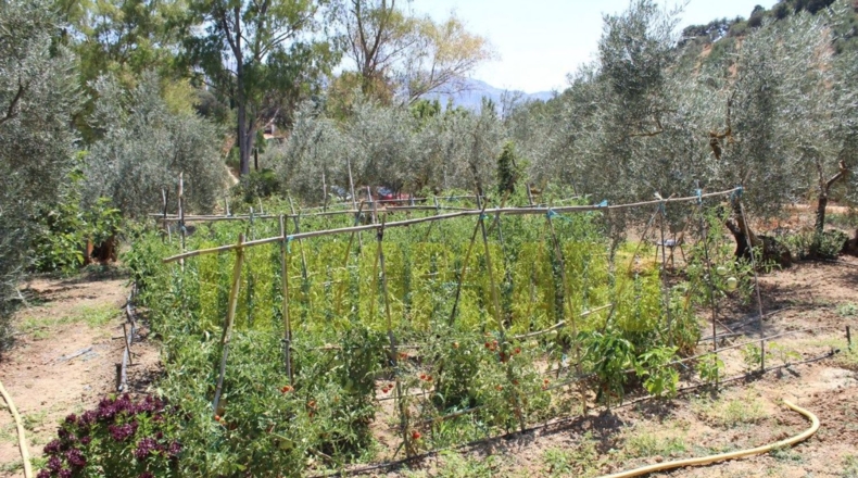 Málaga - Villanueva del Rosario - 4000m2