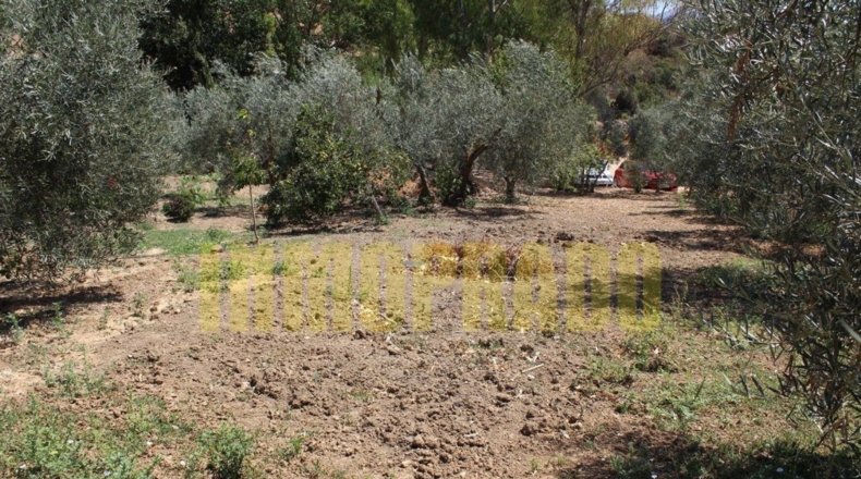 Málaga - Villanueva del Rosario - 4000m2