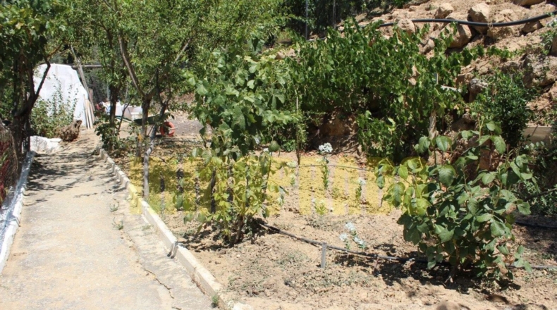 Málaga - Villanueva del Rosario - 4000m2