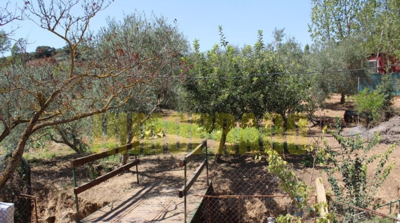 Málaga - Villanueva del Rosario - 4000m2