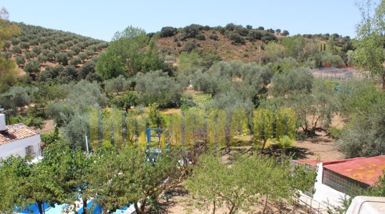 Málaga - Villanueva del Rosario - 4000m2