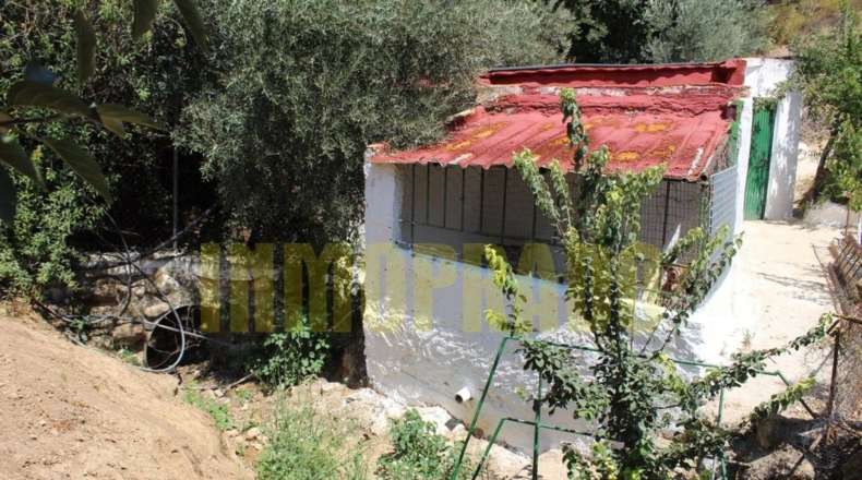 Málaga - Villanueva del Rosario - 4000m2