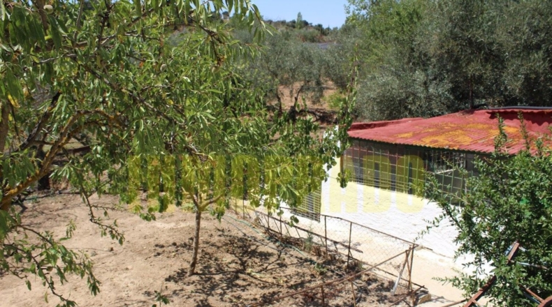 Málaga - Villanueva del Rosario - 4000m2
