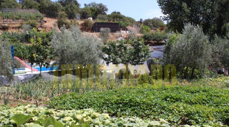 Málaga - Villanueva del Rosario - 4000m2