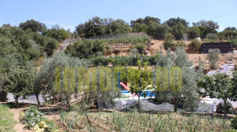 Málaga - Villanueva del Rosario - 4000m2