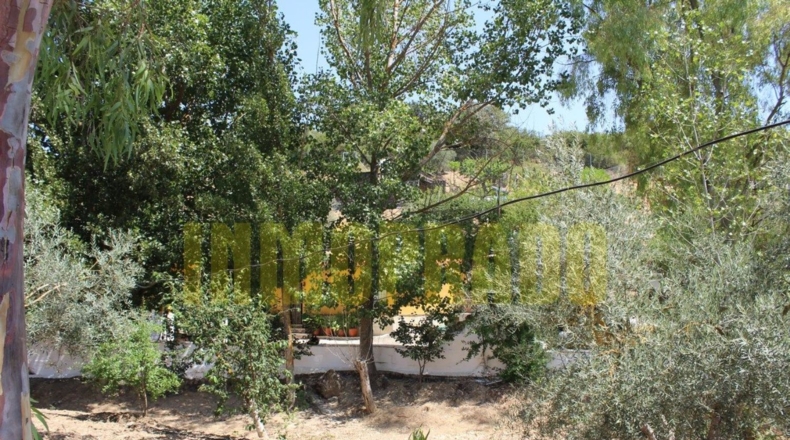 Málaga - Villanueva del Rosario - 4000m2