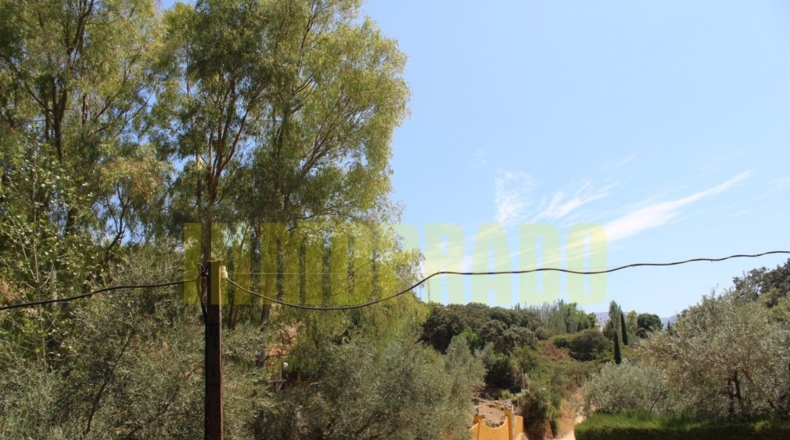 Málaga - Villanueva del Rosario - 4000m2