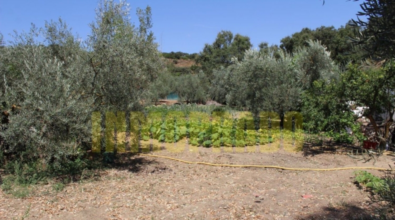 Málaga - Villanueva del Rosario - 4000m2