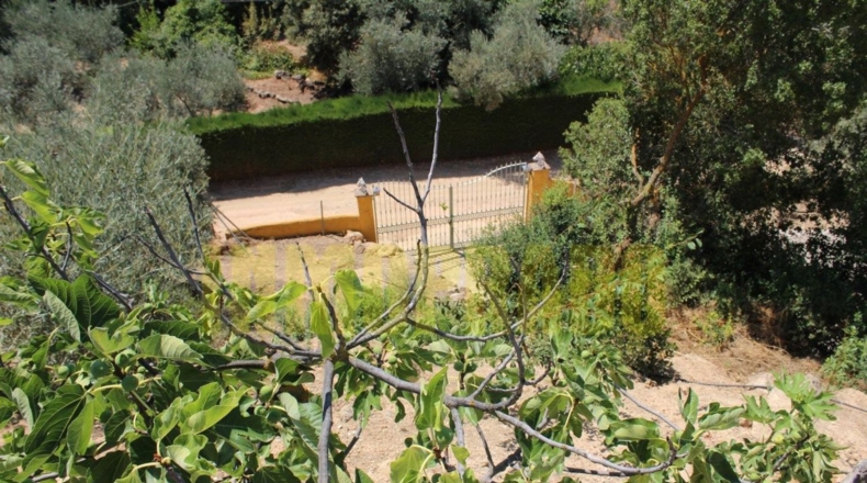 Málaga - Villanueva del Rosario - 4000m2