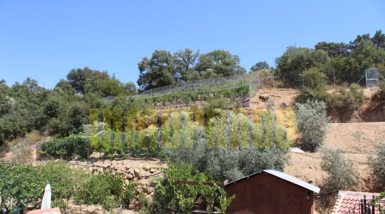Málaga - Villanueva del Rosario - 4000m2
