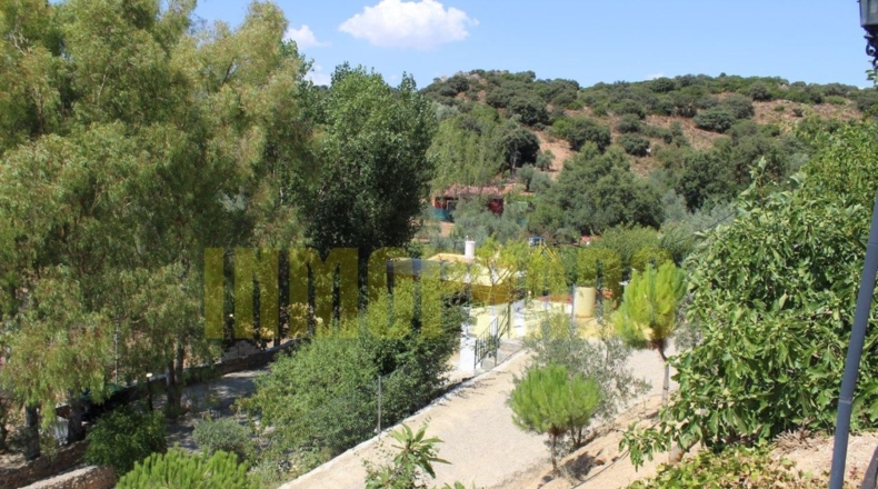 Málaga - Villanueva del Rosario - 4000m2