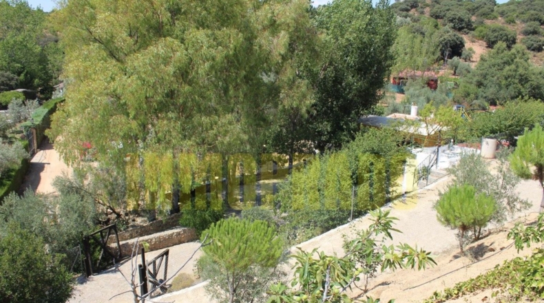 Málaga - Villanueva del Rosario - 4000m2